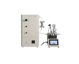 100ml液相氢化反应釜